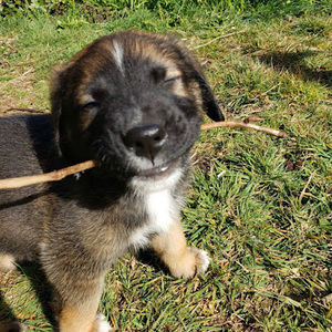 Meet your Posher, Jaden